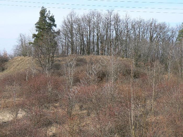 Stehelčeves