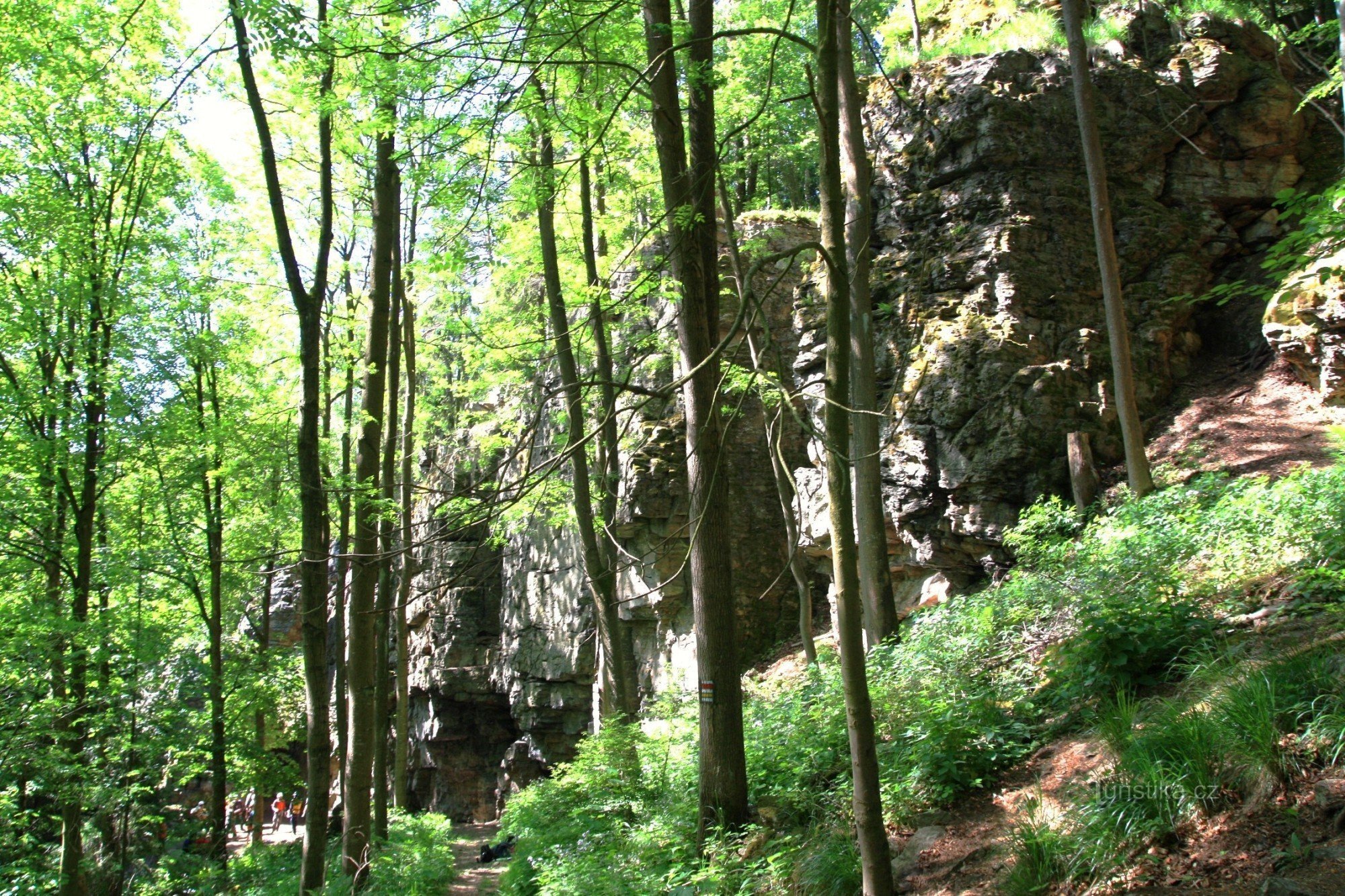 Τείχος του Split Rock