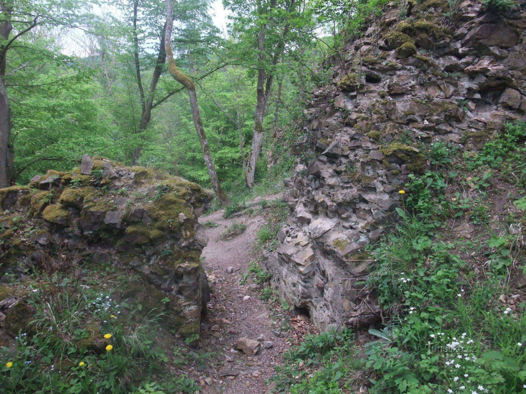 Các bức tường của lâu đài Týřov