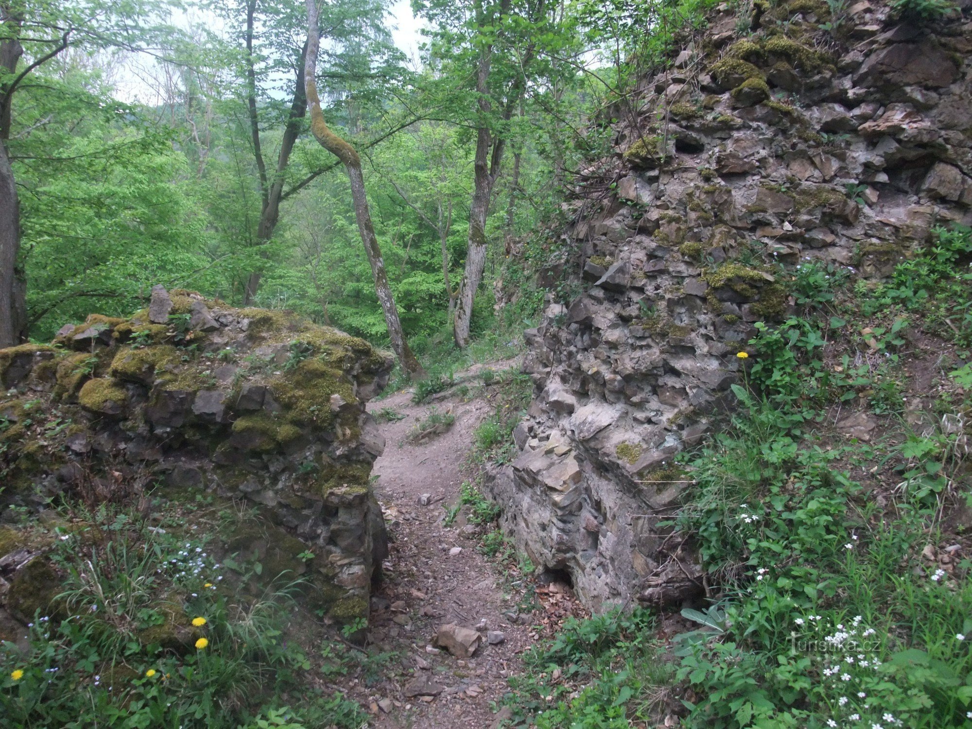 Zidurile Castelului Týřov