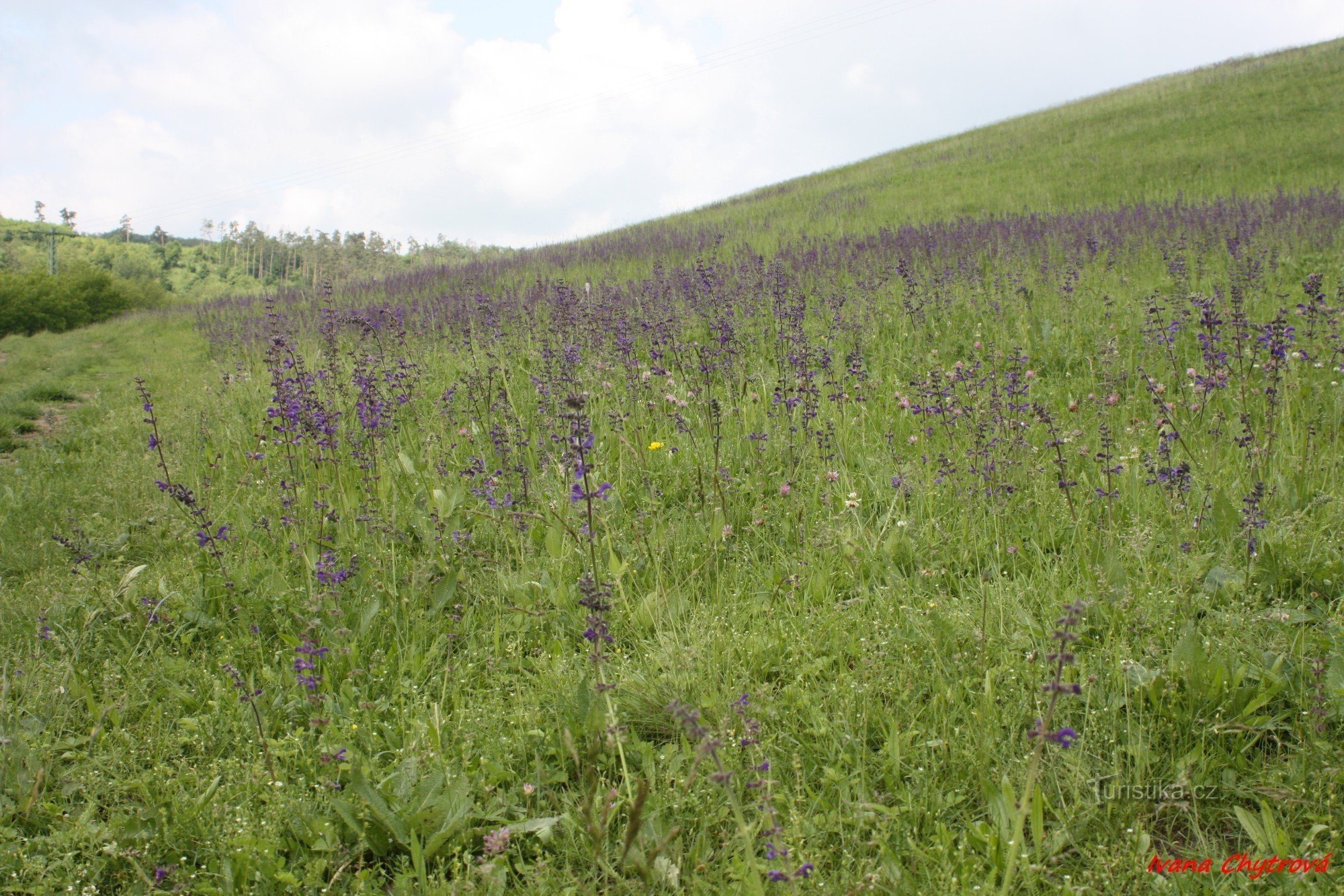 Steppe bei Templštýn