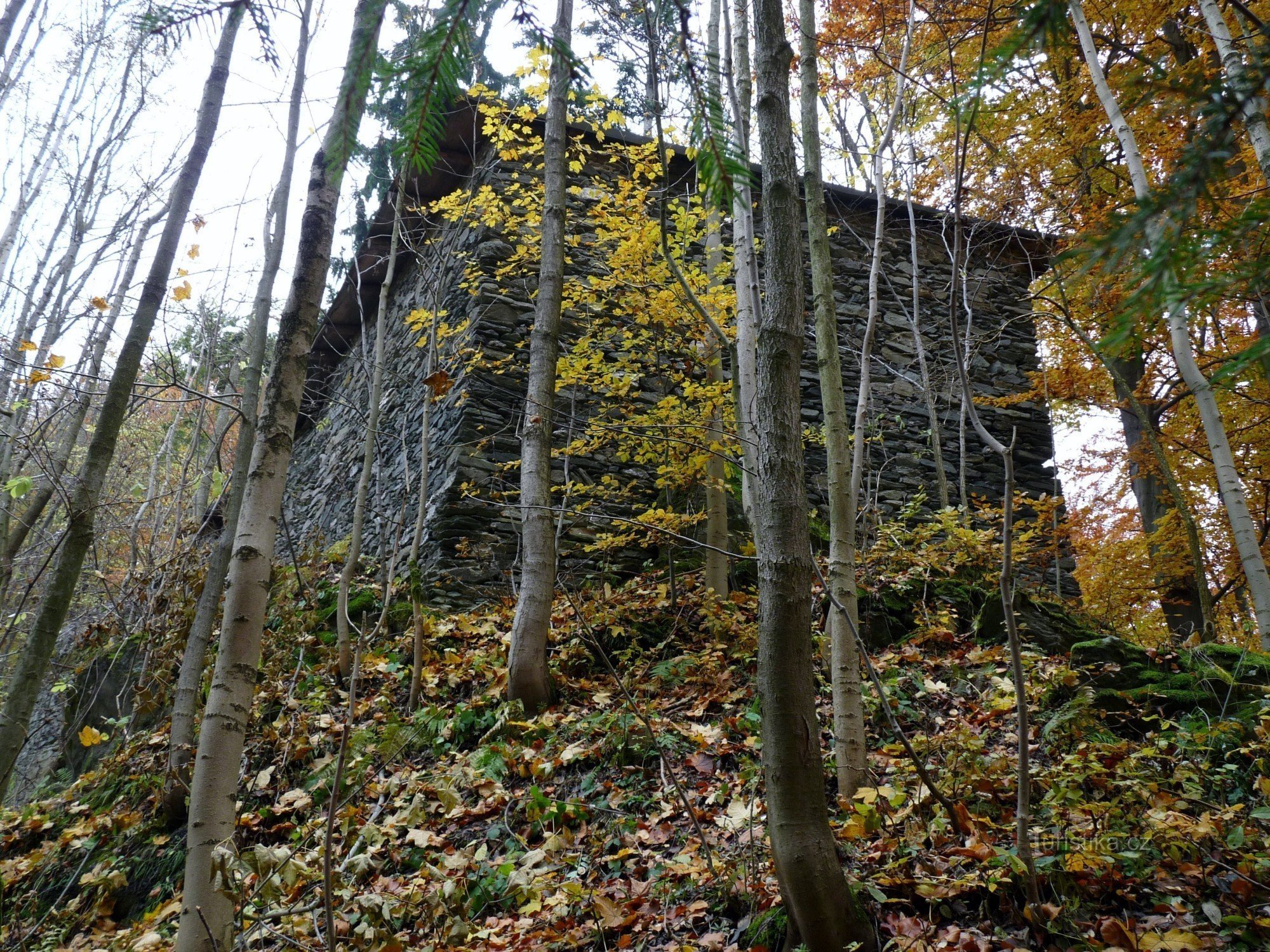 Štěpanický hrad-zřícenina