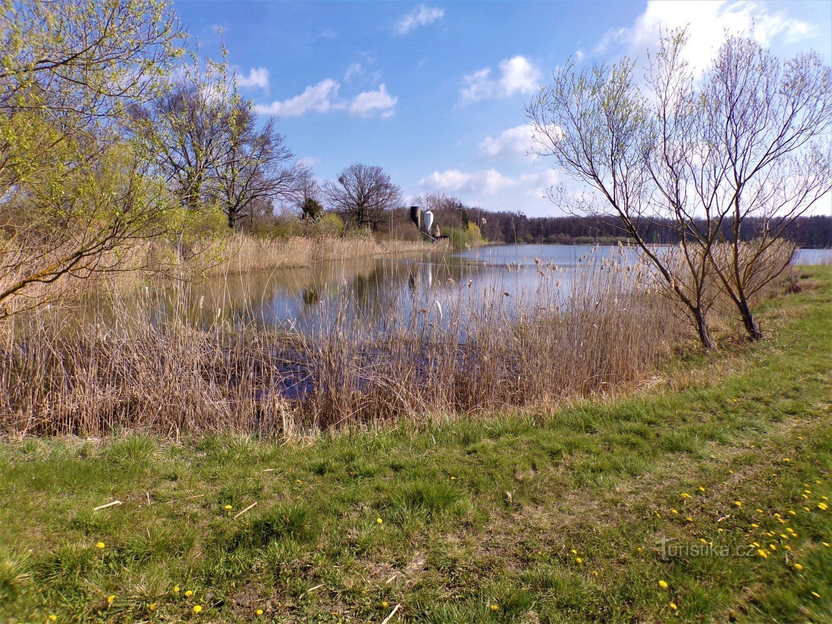 Štěpánský rybník (Kobylice、30.4.2021 年 XNUMX 月 XNUMX 日)