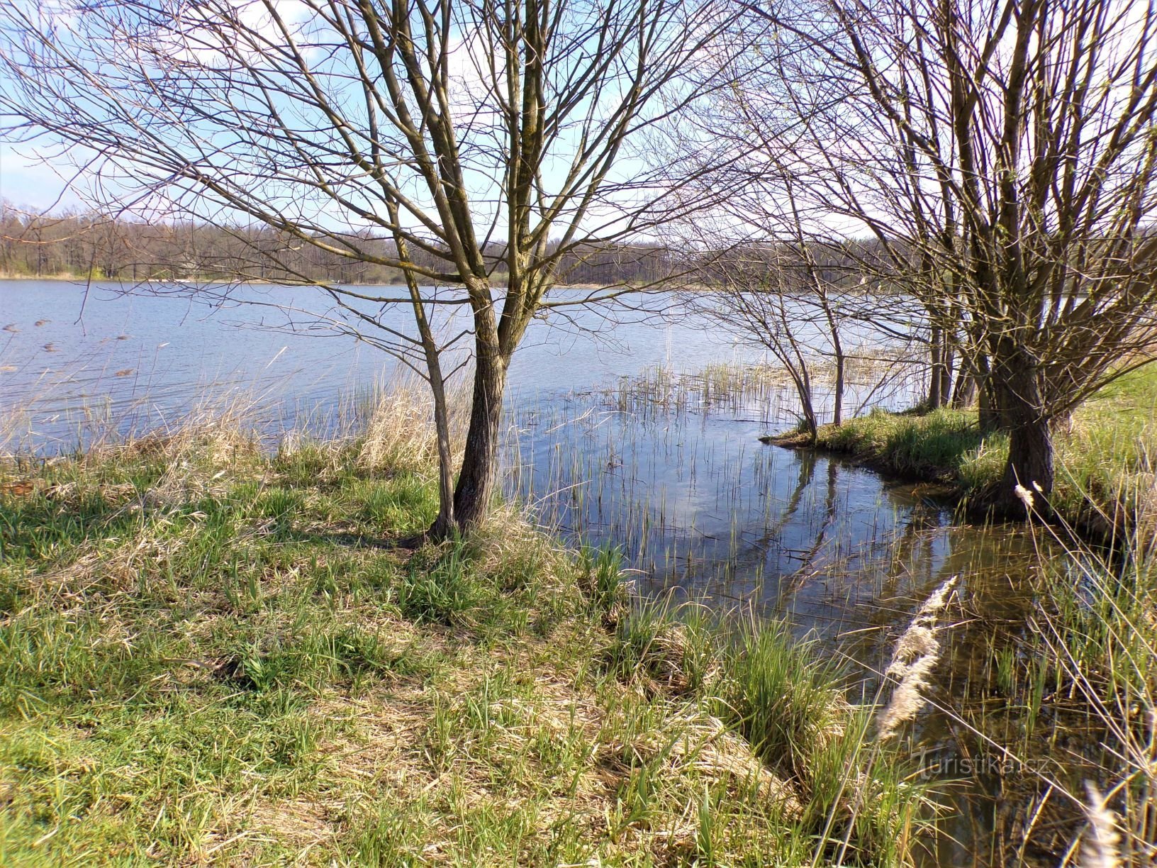 Štěpánský rybník (Kobylice, 30.4.2021/XNUMX/XNUMX)