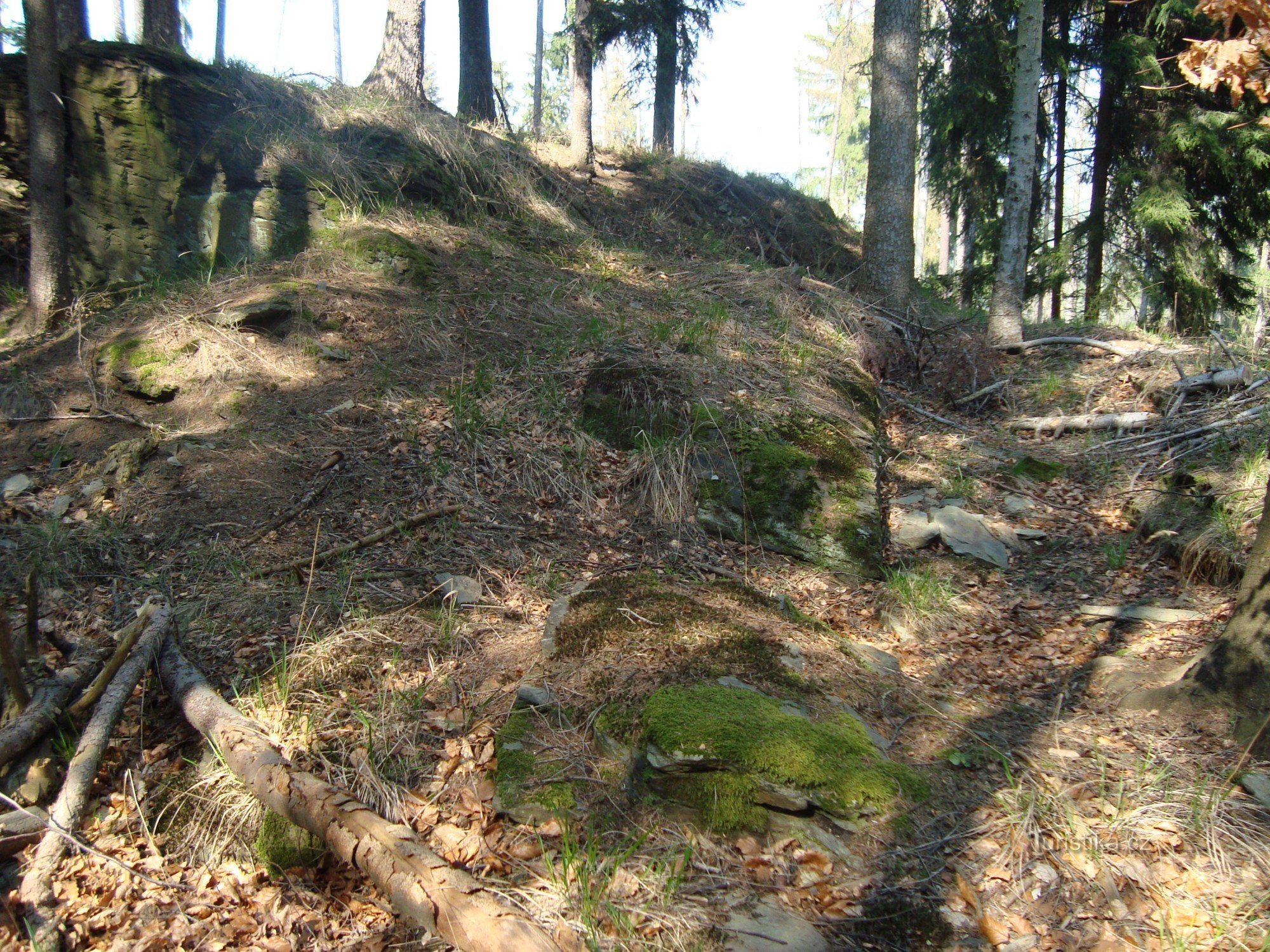 Šternek - o depresiune alungită cu rămășițe de ziduri la capătul de est al dealului castelului - Foto: Ulrych Mir.