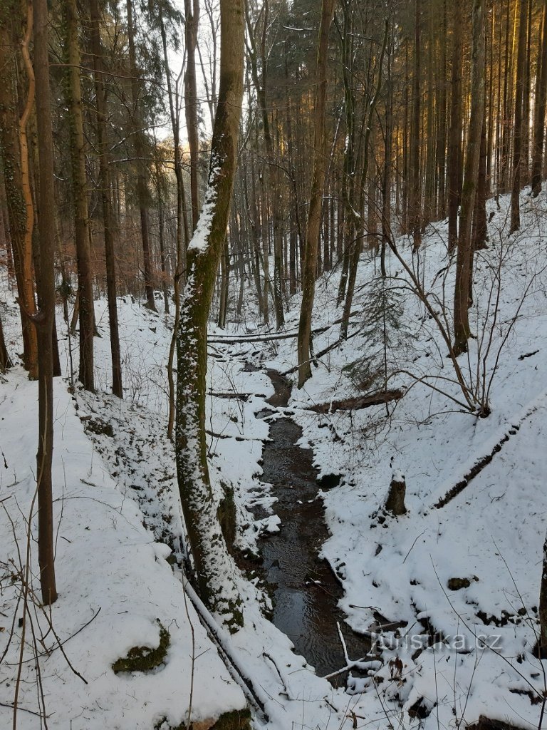 Šternovský stream