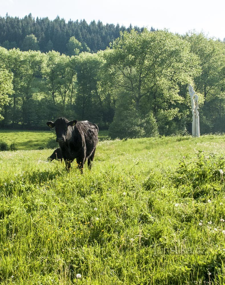 Weg der Engel