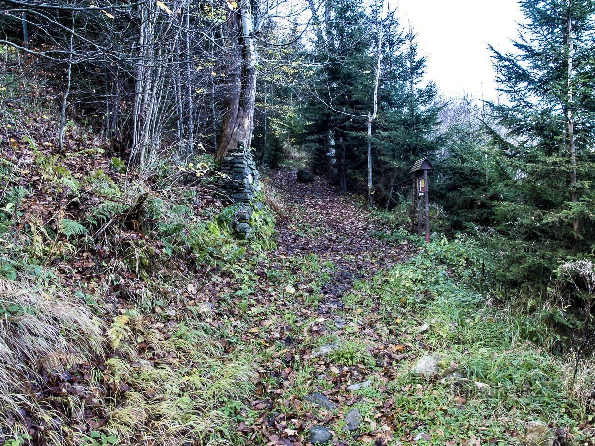 Sentier vers la source