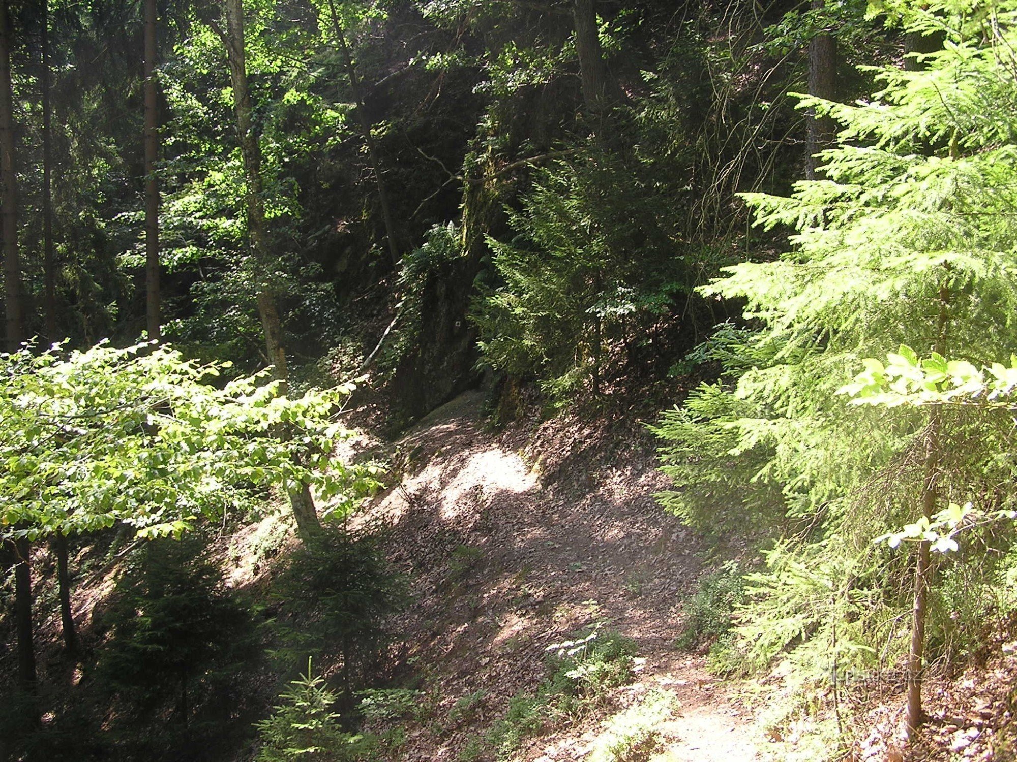 Trail to the tunnel of the Venetians - 27.7.2008