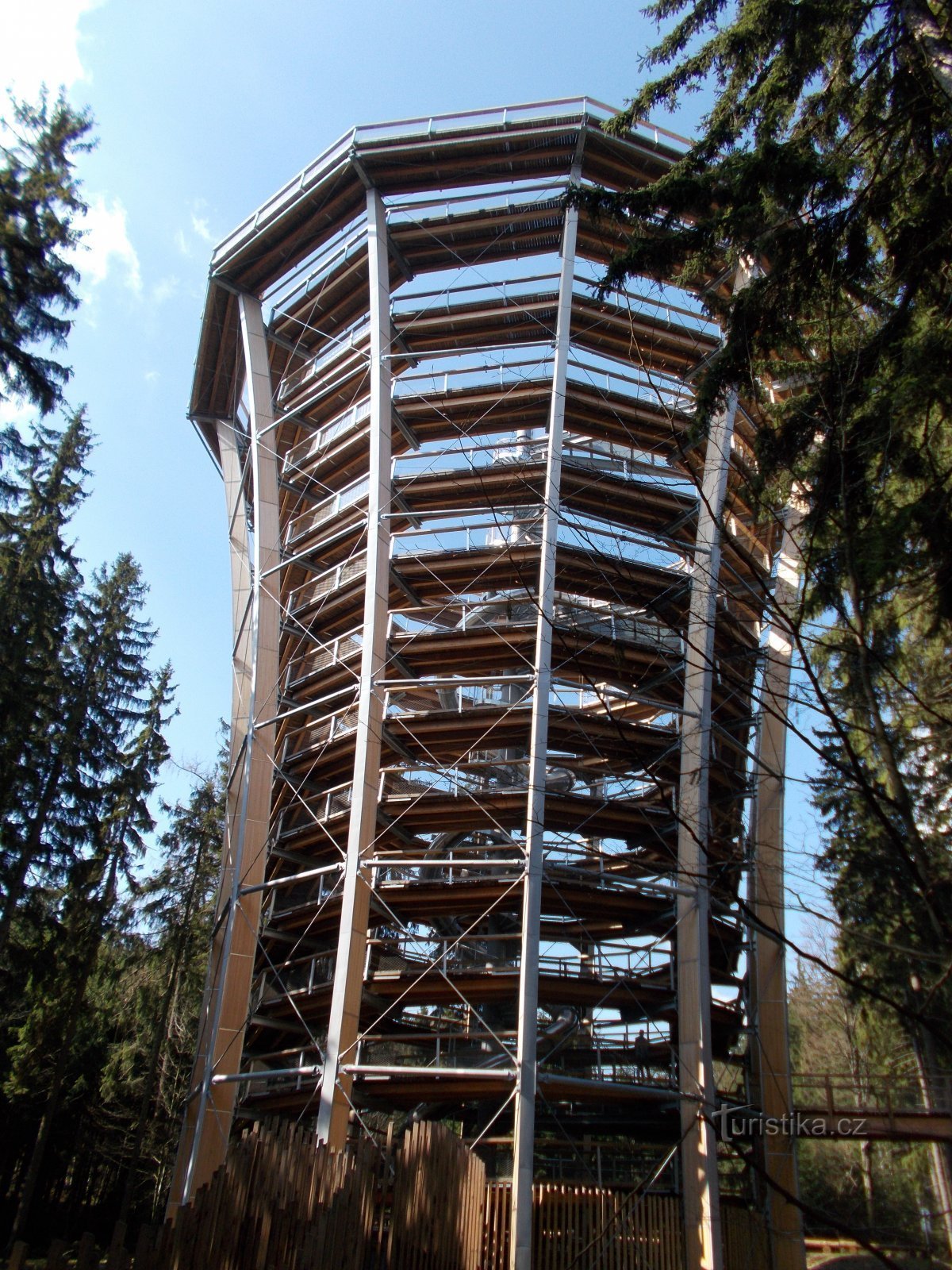 Treetop Walkway