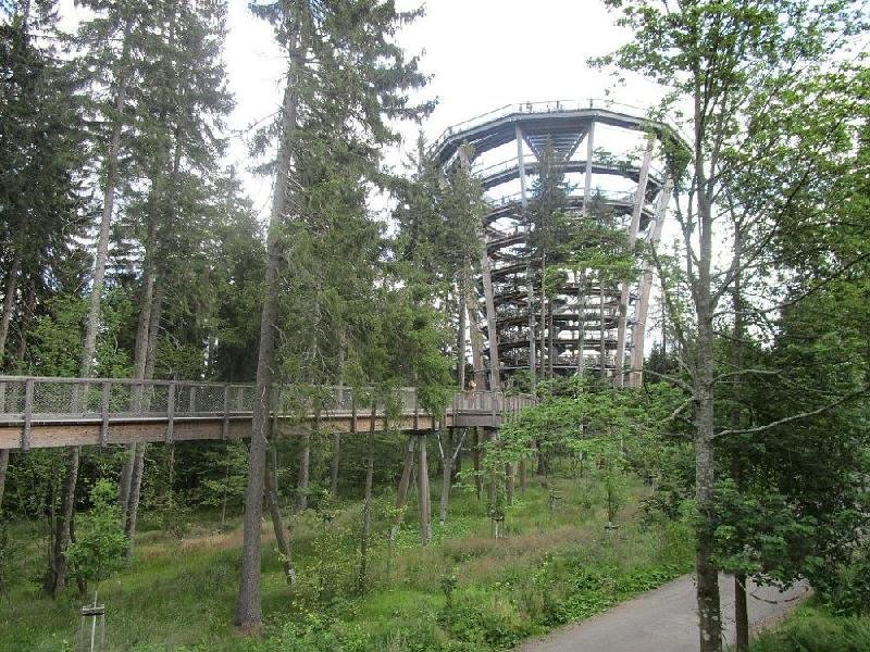 Stezka korunami stromů