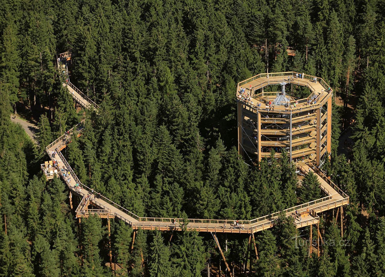 Chemin à travers les cimes des arbres (c) Office du tourisme de la Bohême du Sud