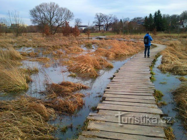Het pad boven de wetlands in Hostavice in de winter