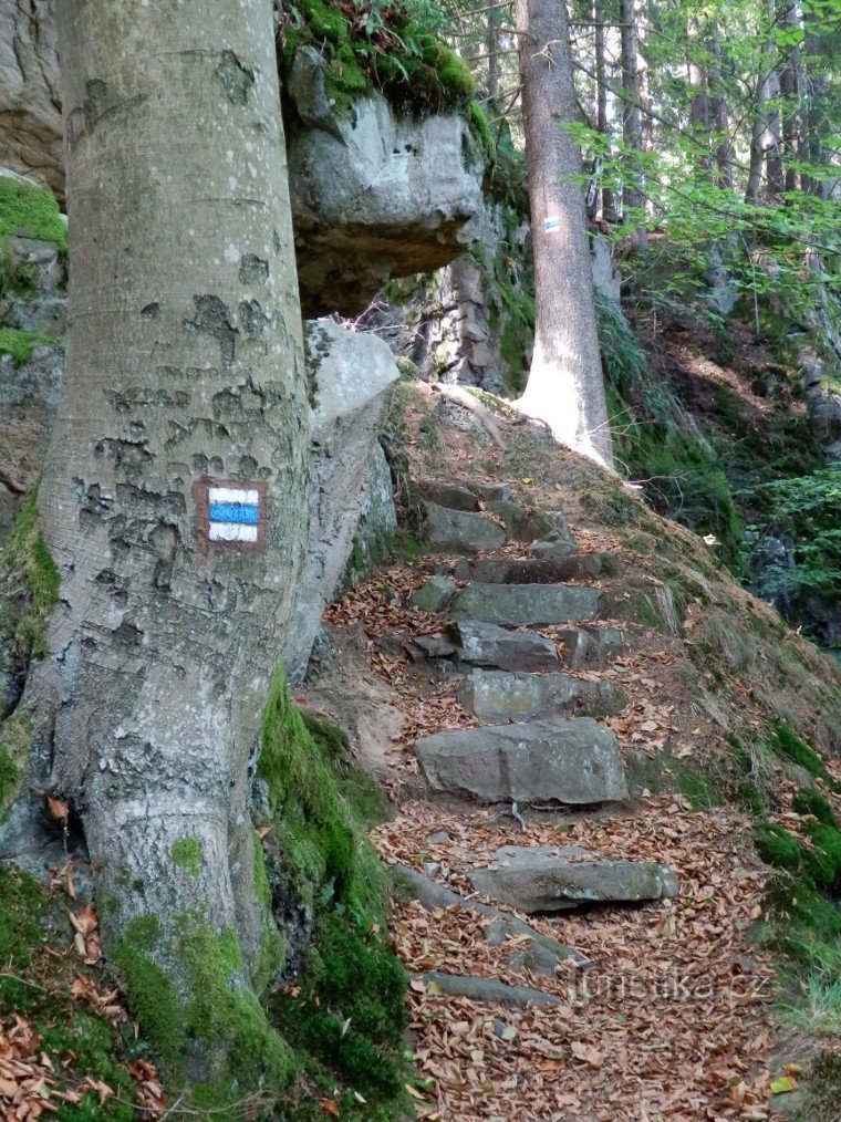 Calea de la peșteră la punctul de belvedere