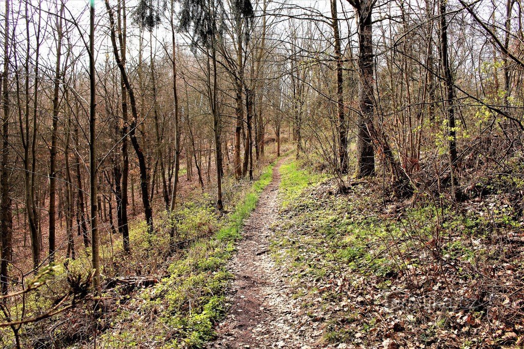 Der Weg unter Sibeník