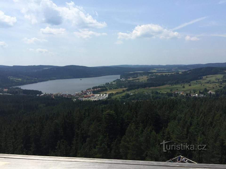 The path in the treetops of Lipno