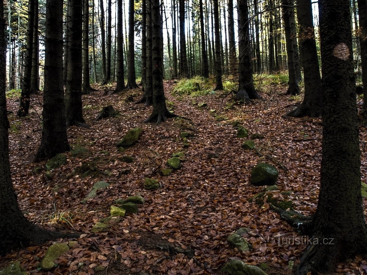 Ein mit Steinen markierter Weg