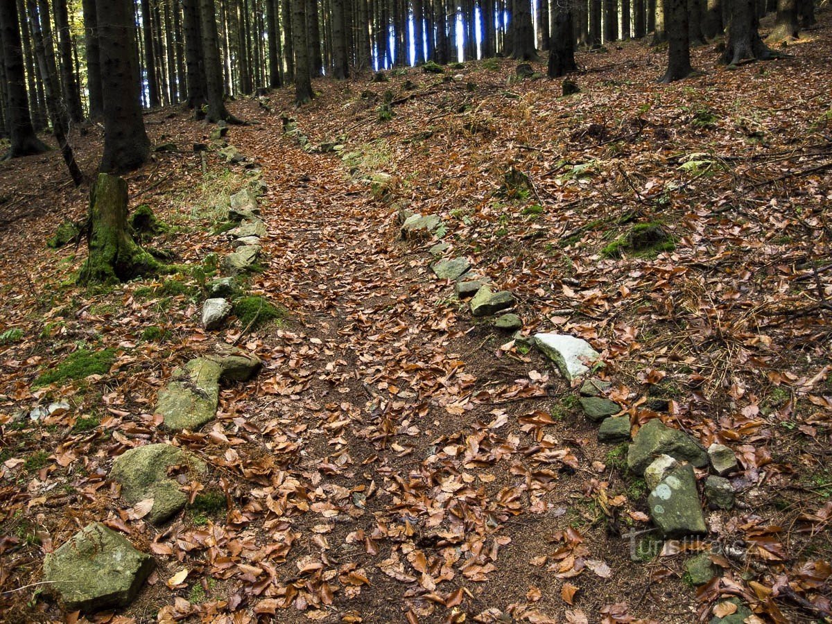 Sentier de l'eau vive