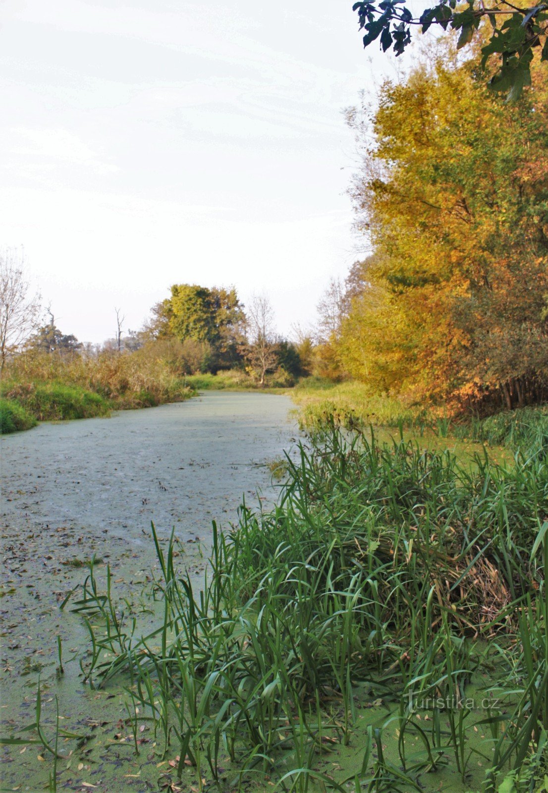 Stibůrkovská jezera - přírodní rezervace