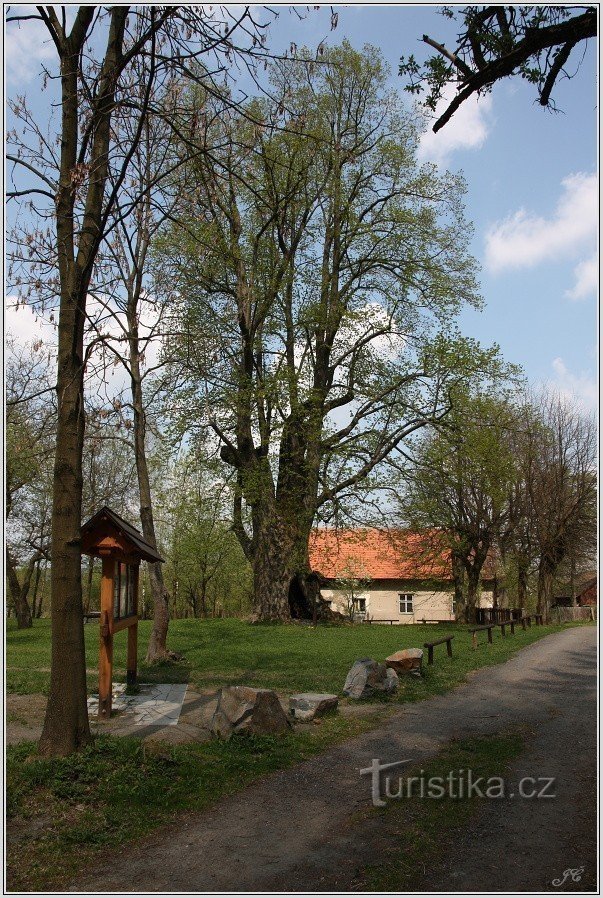 Štikovská tei