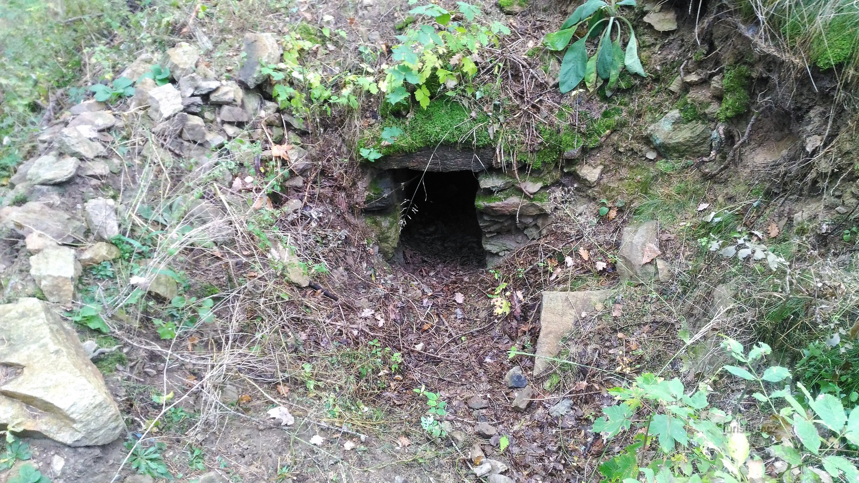 Tunnel No. 9