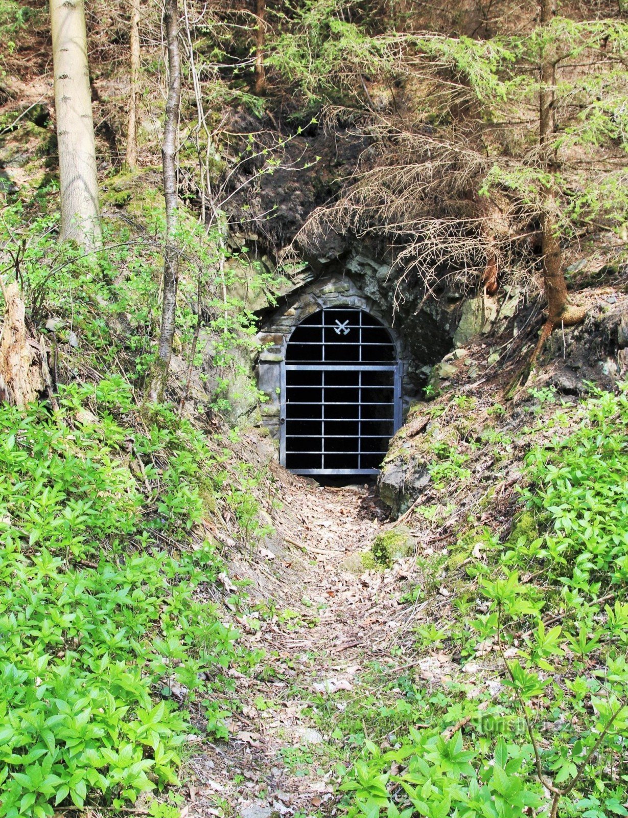 En tunnel vid strömmen Tresenské