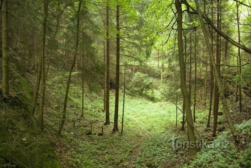 Der Tunnel ist in einer kleinen Schlucht versteckt