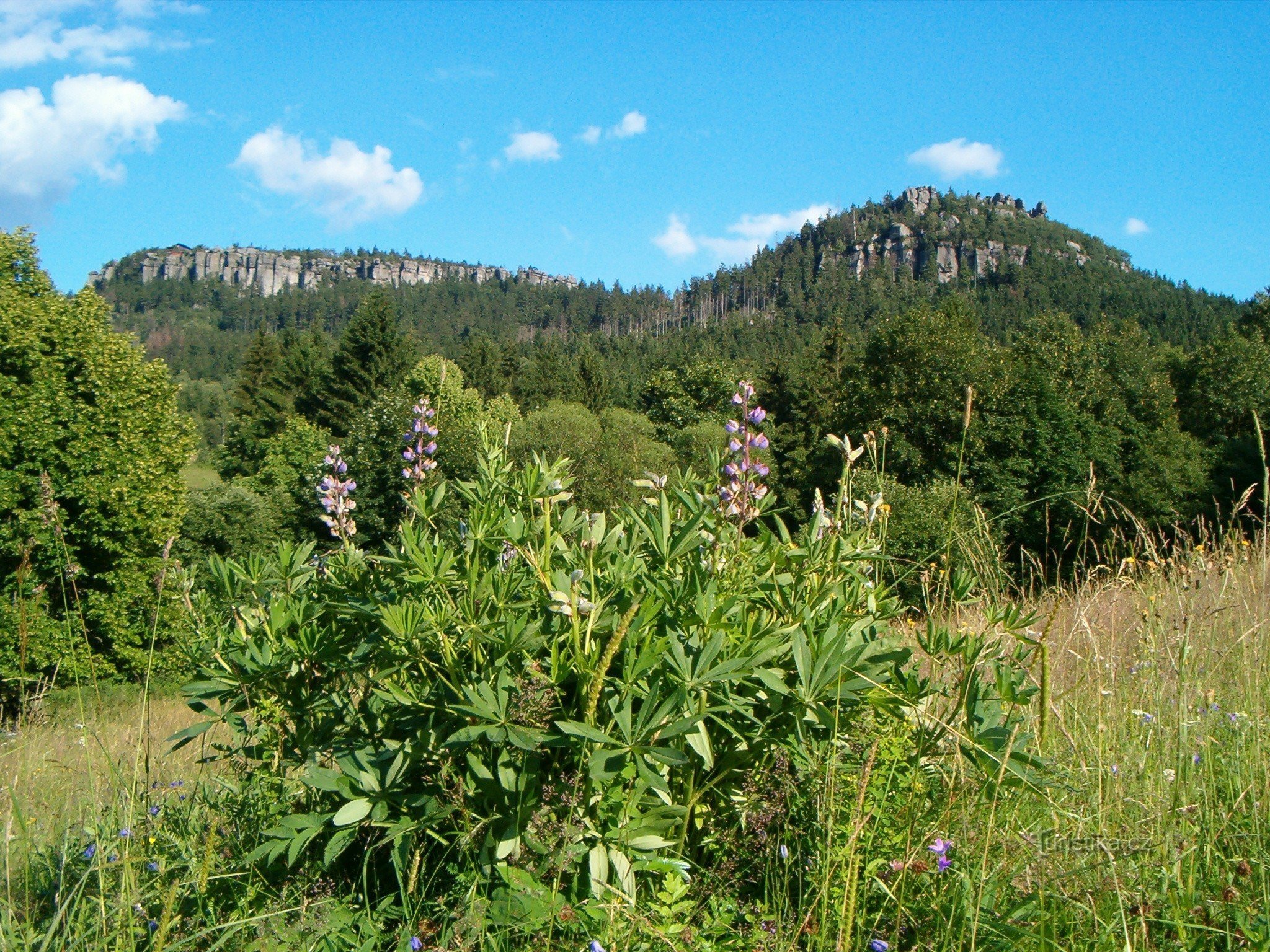 Montagne de la Table Hejšovina