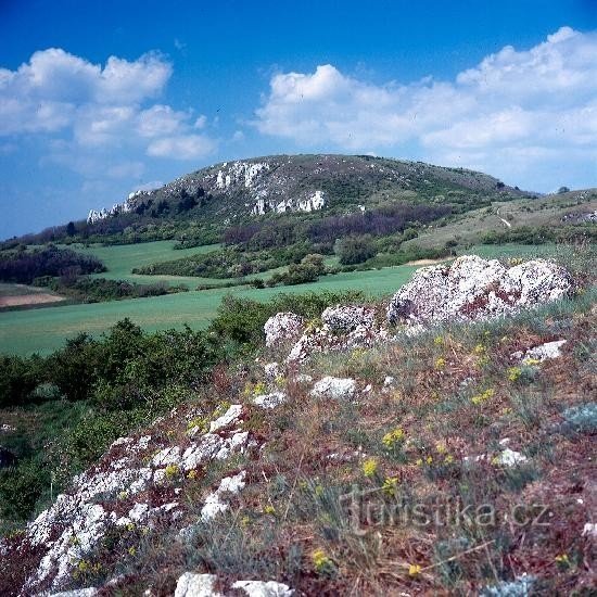 Stolić za kavu fotografa Petra Macháčeka