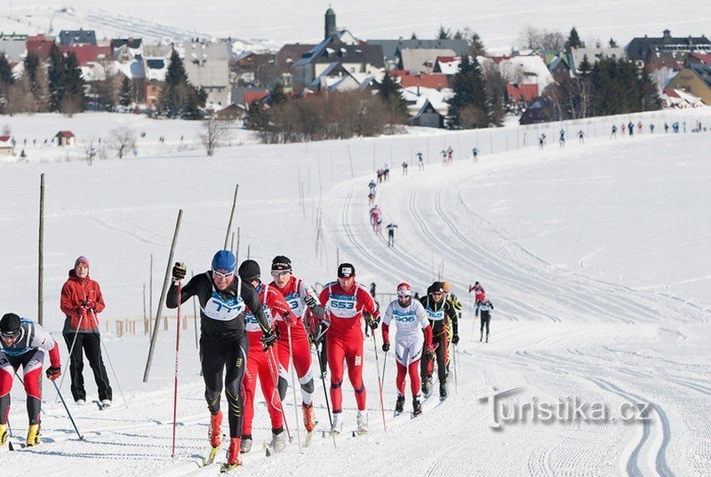 Staza za život - Karlův beh Česká spořitelna