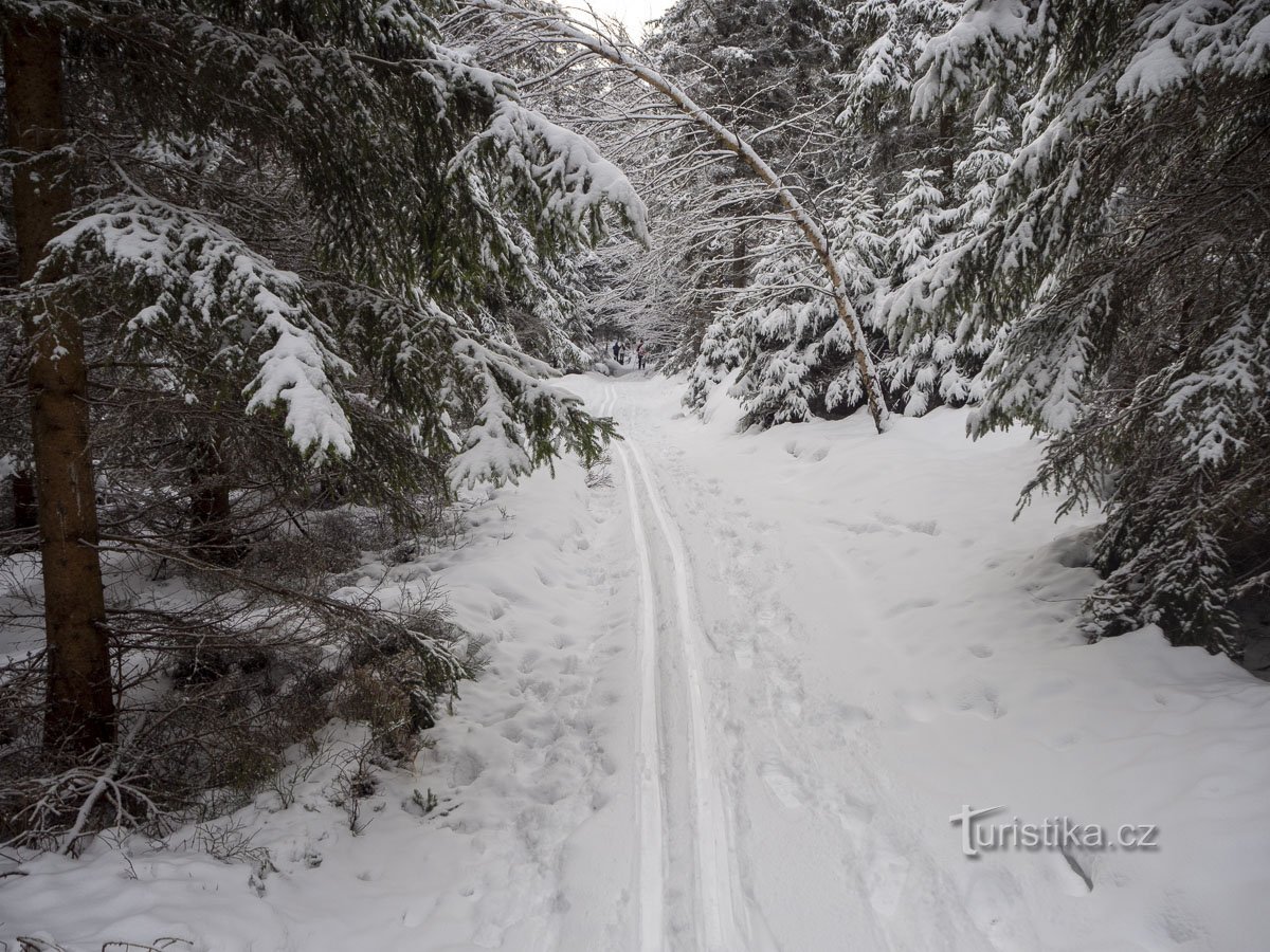 Der Weg hinter dem Weißen Stein