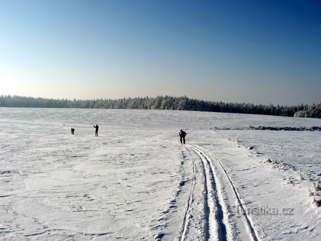 ноги