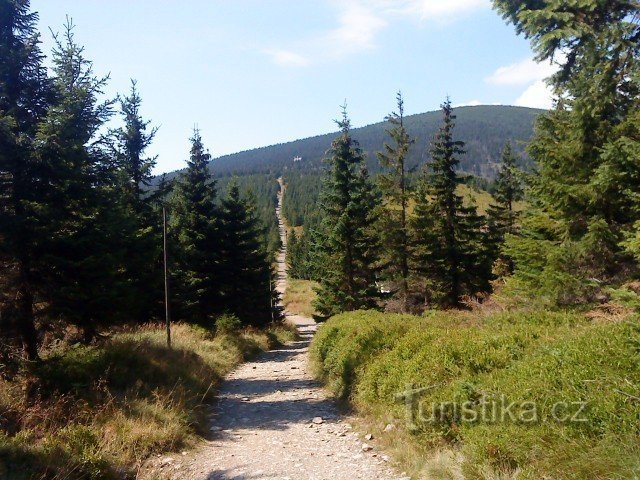 Steigung nach Svorová hora