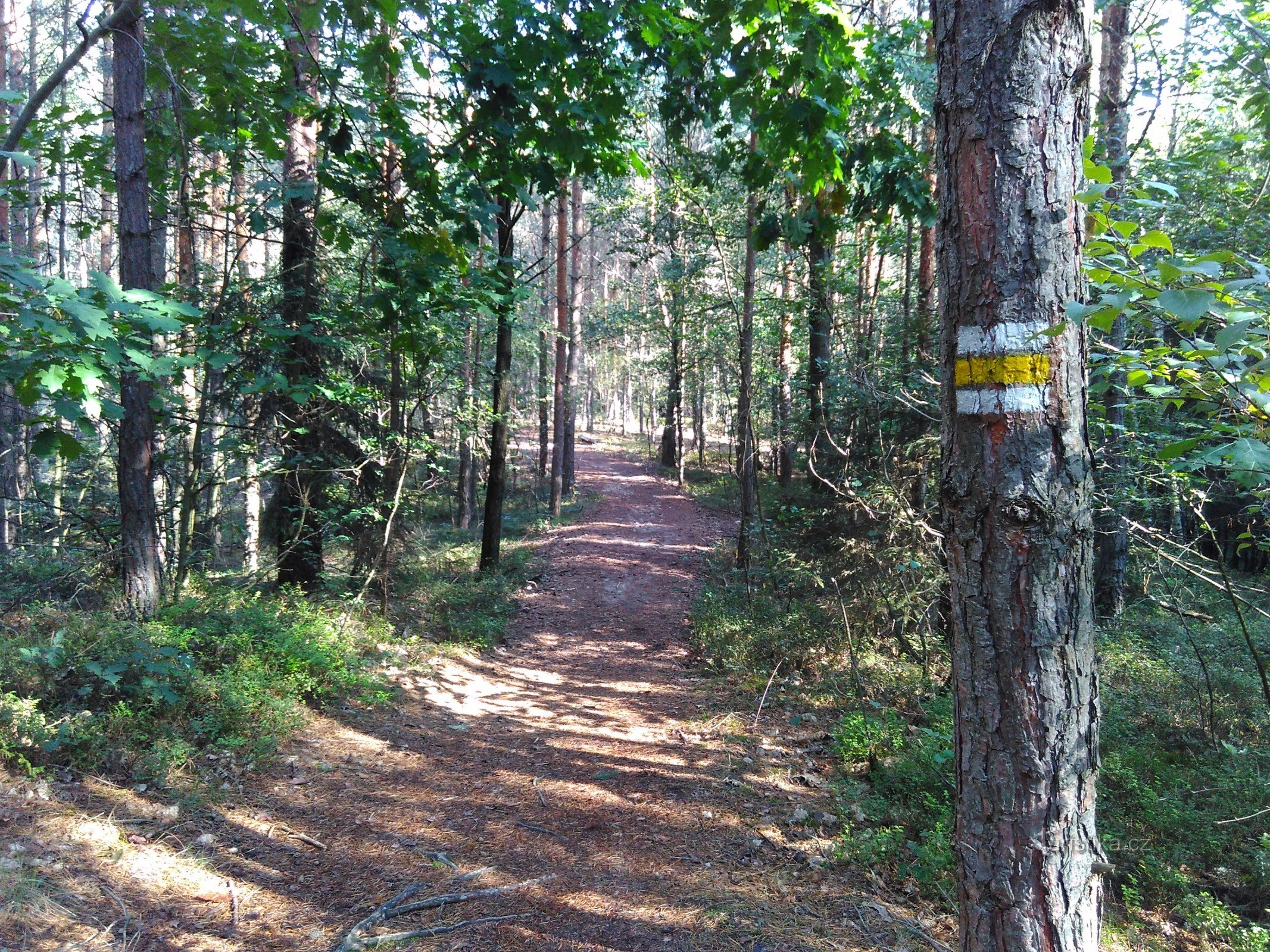 subimos à plataforma rochosa