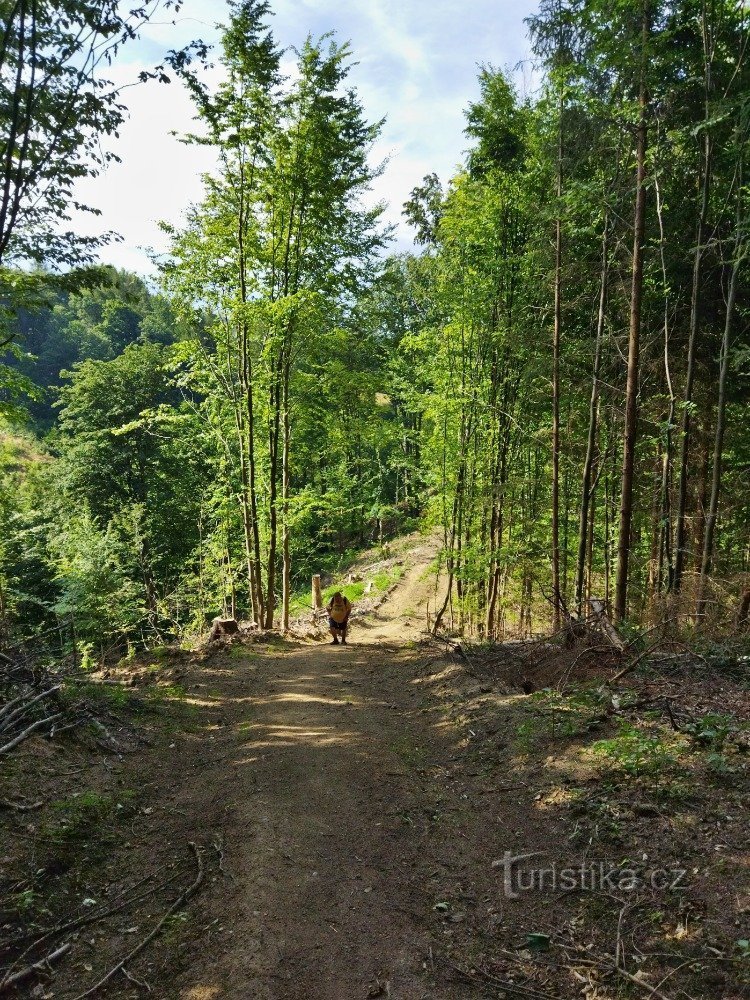 uppstigning till Sněžná