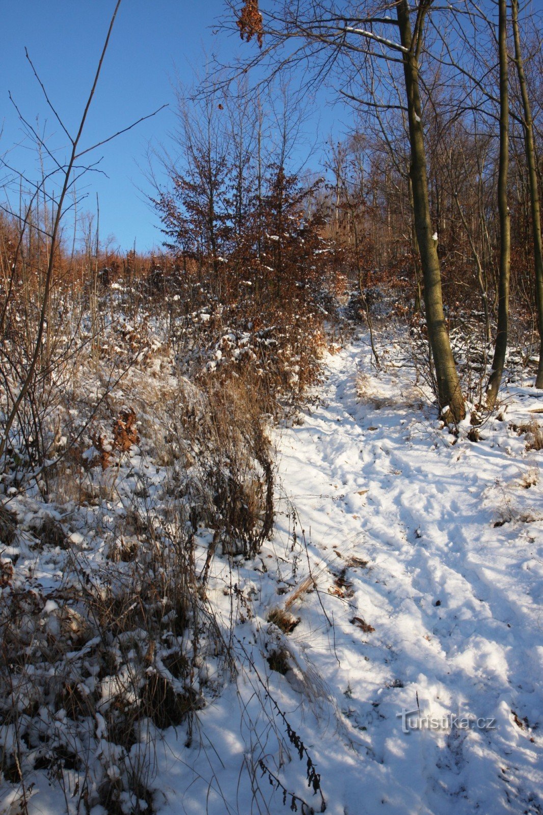 Climbing to Alexandrovka