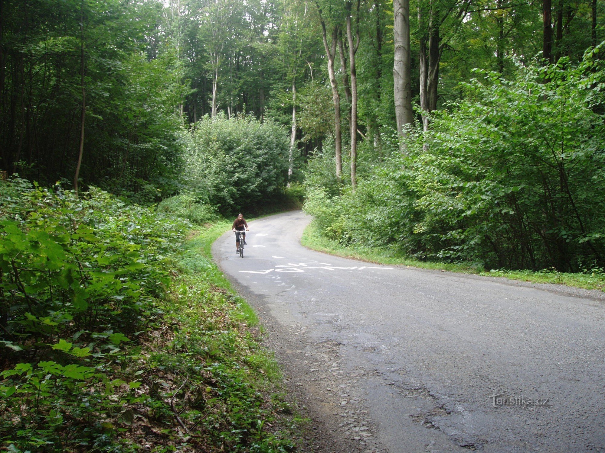 Ascent to Bunč