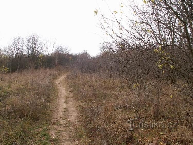 Сходження на Медланецькі пагорби