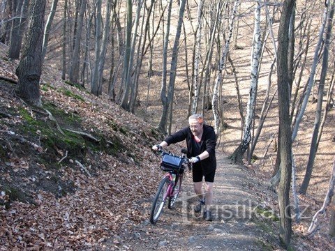 Besteigung des Oppidiums