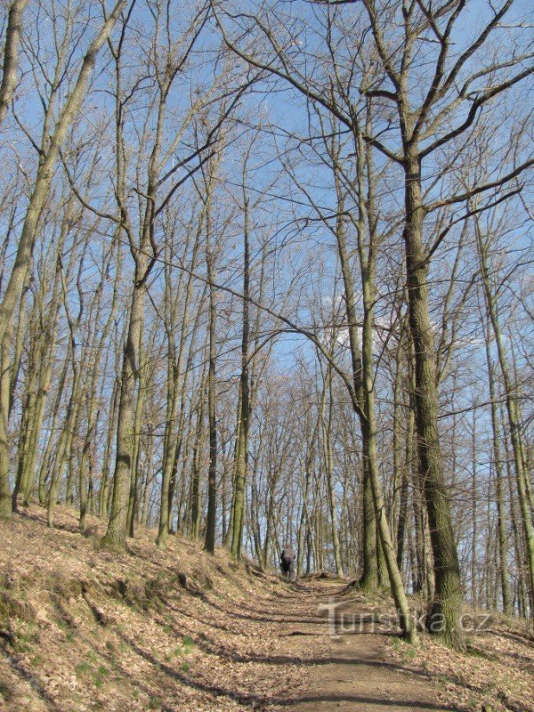 Ascenso desde el molino de Vrbovice