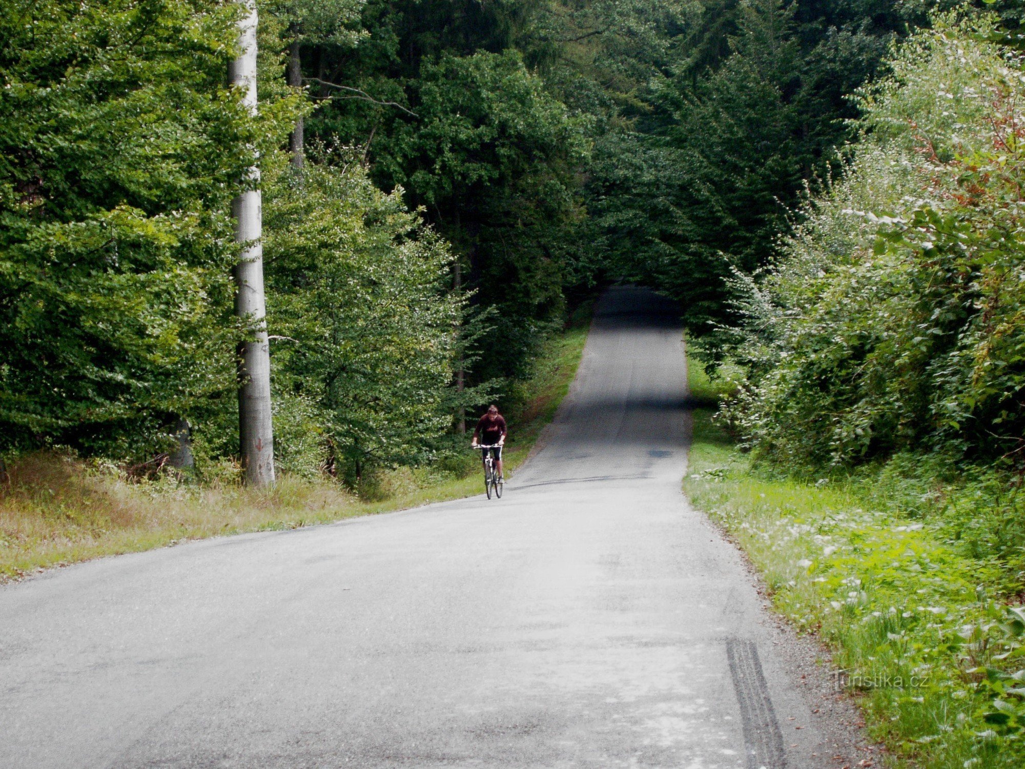 Ascent from Zdounek to Bunč