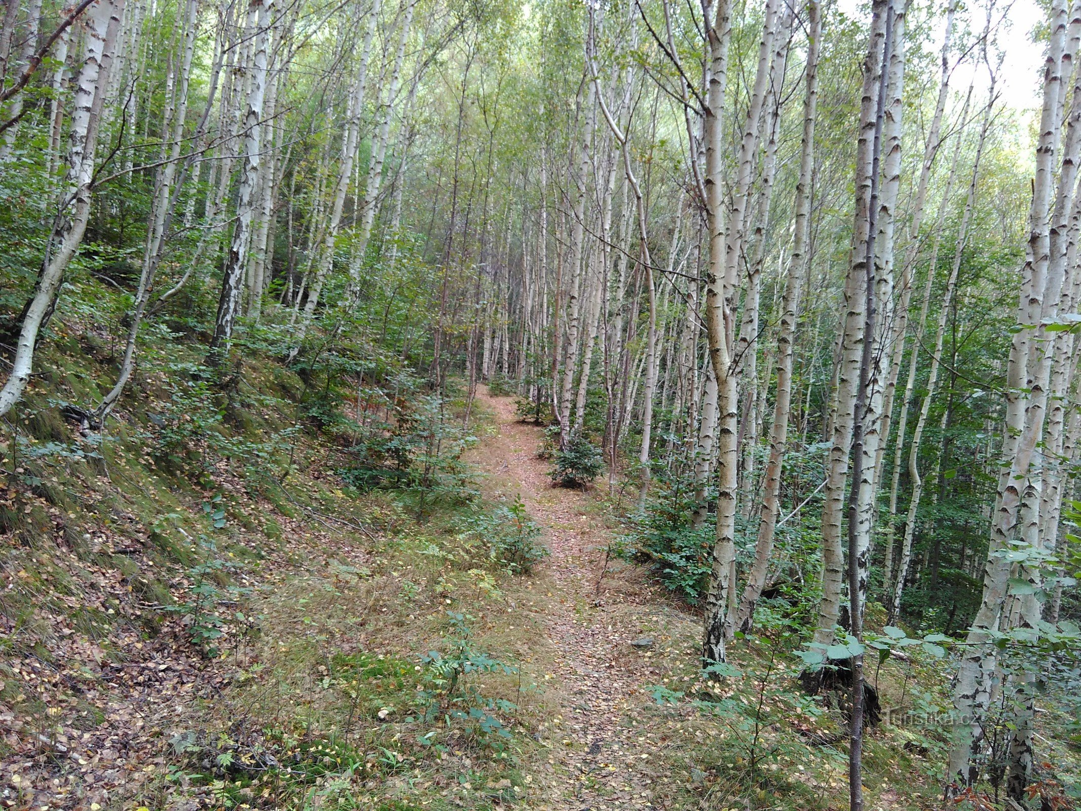 climbing the valley side