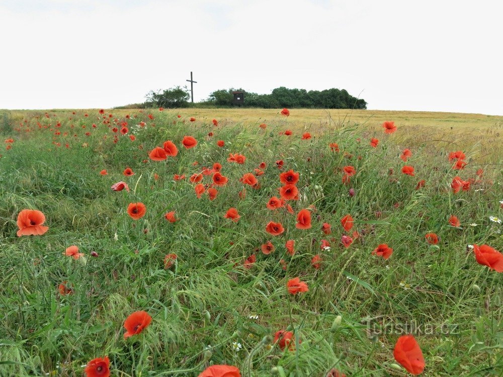 Stradonice – keltisches Oppidum Hradiště