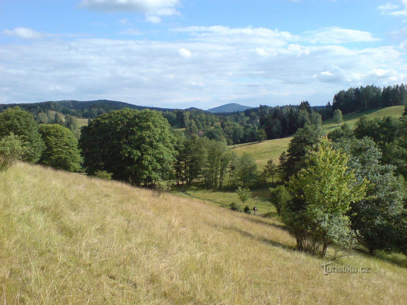 hillside above the cottage