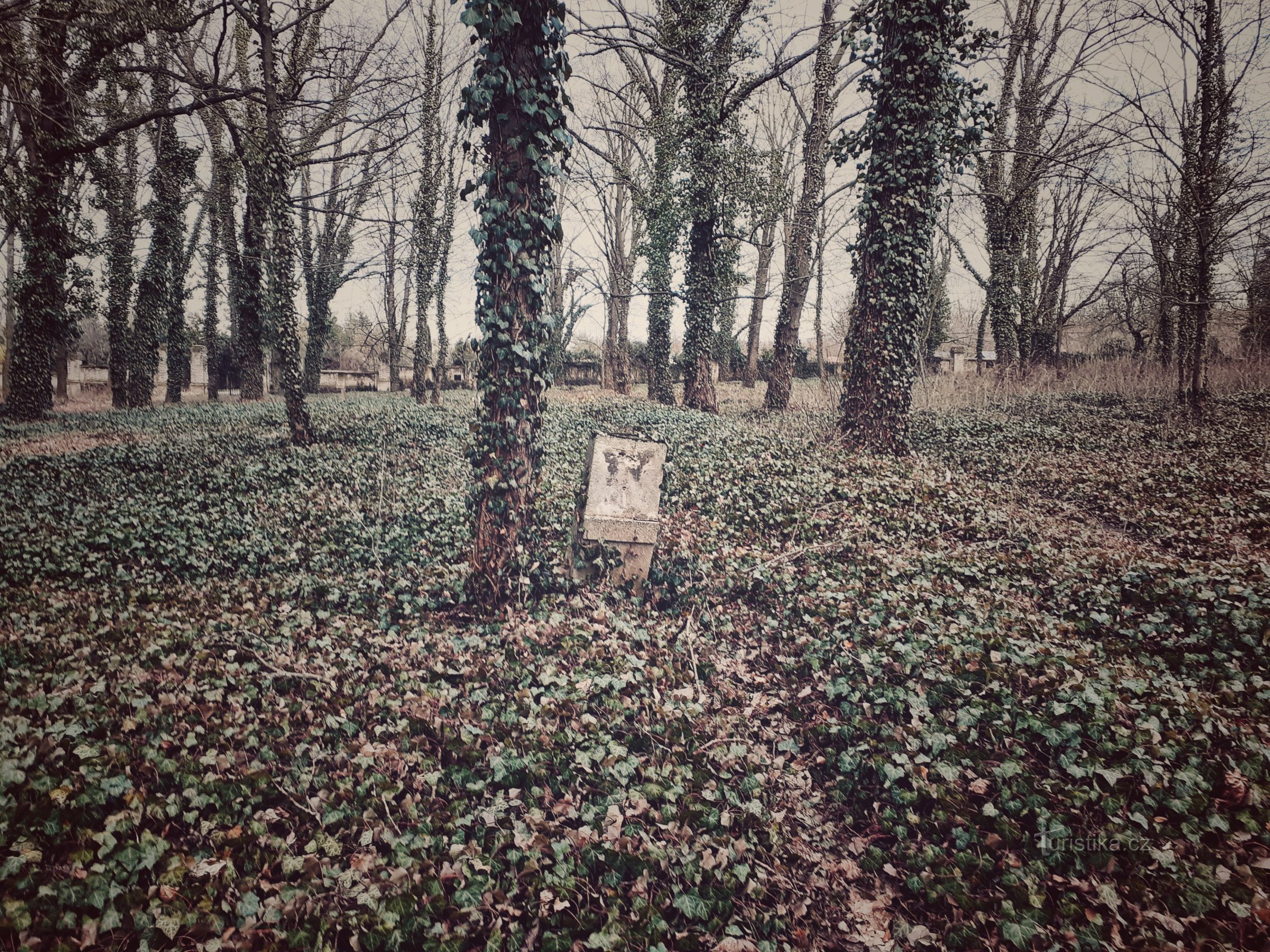 Un cimetière hanté