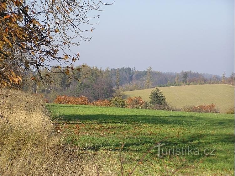 Stražar: Hill