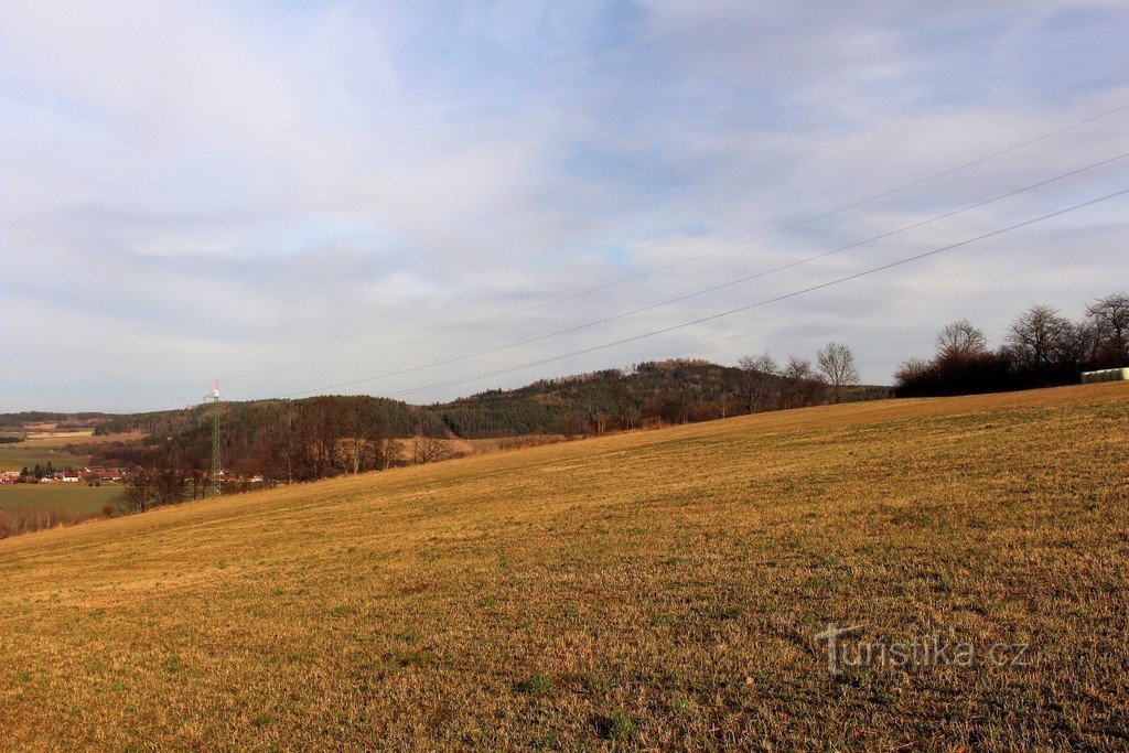 Wachtpost in Budětická vrchovina