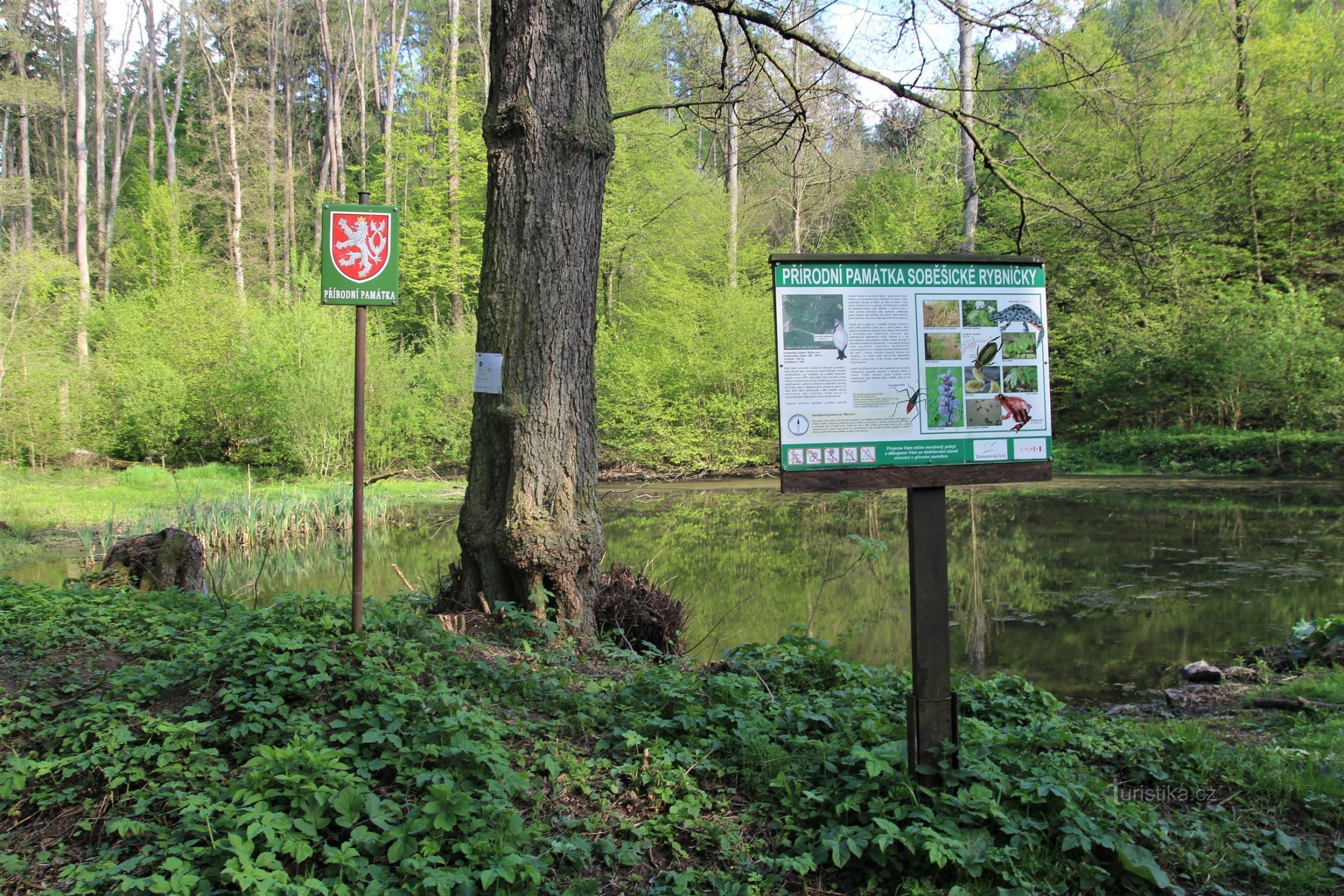 The central part of the natural monument in the vicinity of the pond with the national emblem and a description of the territory