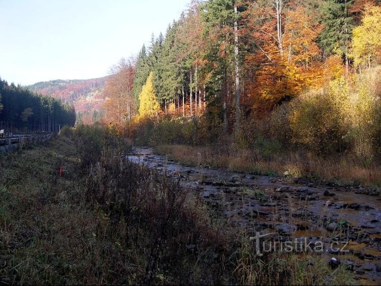 Središnja Opava ispod Bílý Potok