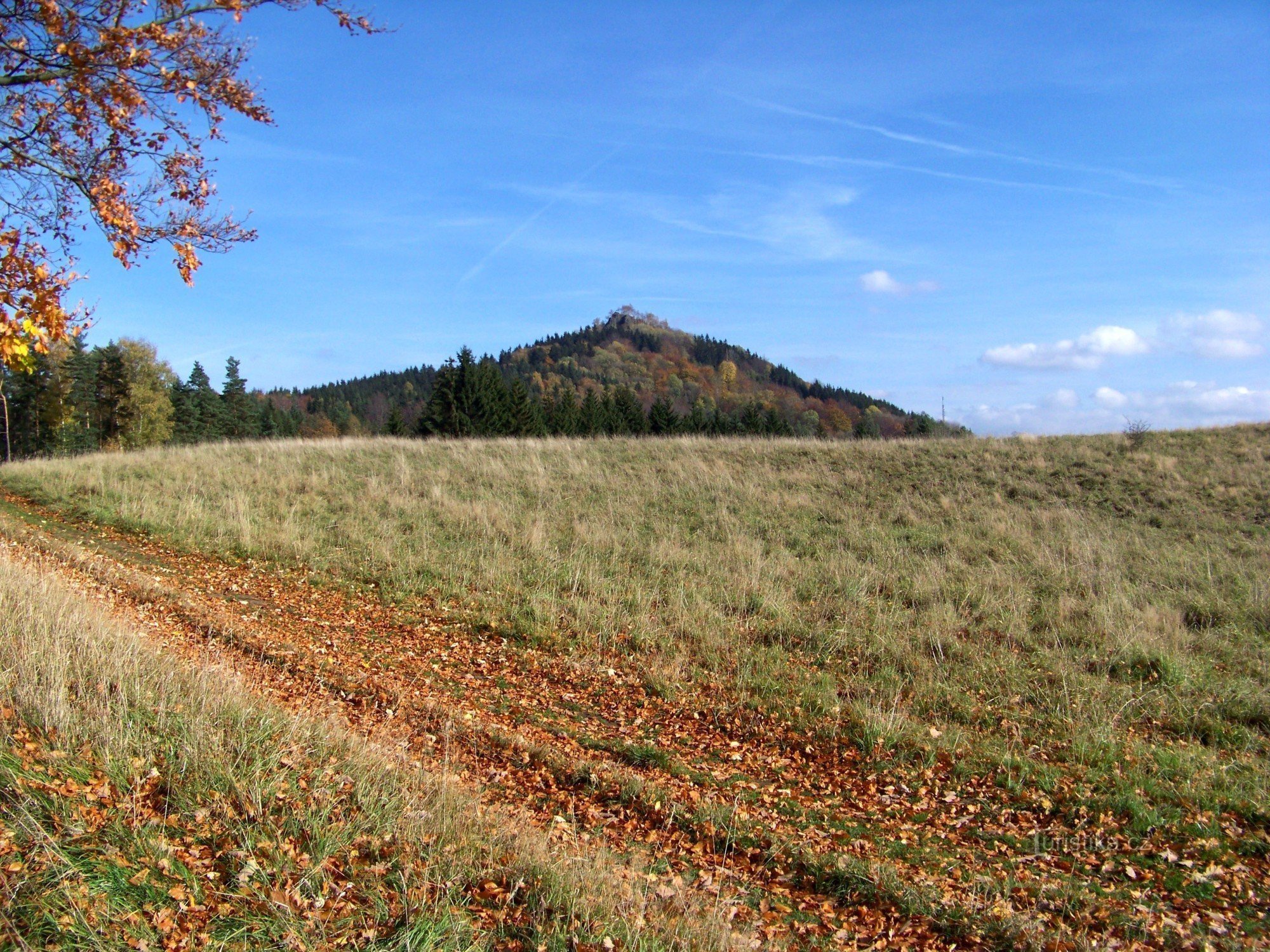 Střední vrch 2008